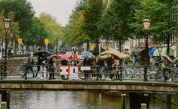 People standing on bridge holding umbrellas